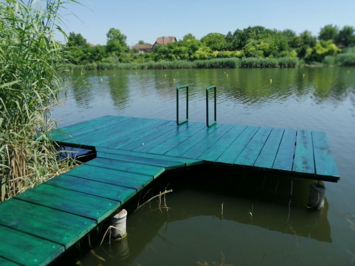 Oaza Kuca Za Odmor Vila Curug Exterior foto