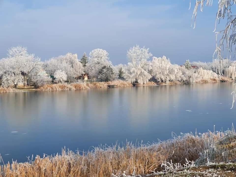 Oaza Kuca Za Odmor Vila Curug Exterior foto